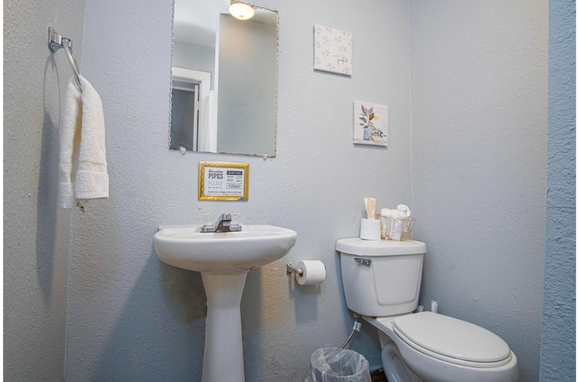 Downtown Accessible New 1Br1Ba Cozy Studio San Antonio Exteriör bild